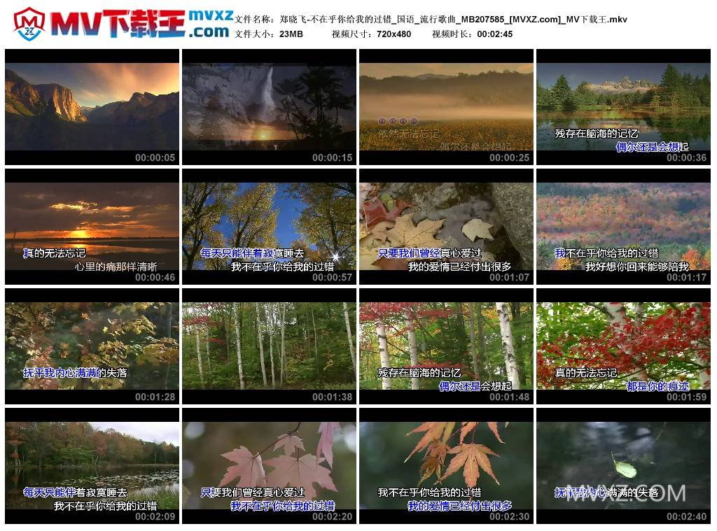 郑晓飞-不在乎你给我的过错_国语_流行歌曲_MB207585